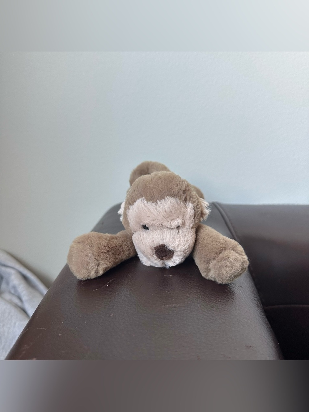 NEW With Tags Jellycat Tiny Smudge Monkey Mini Jungle Safari Authentic

100% aut